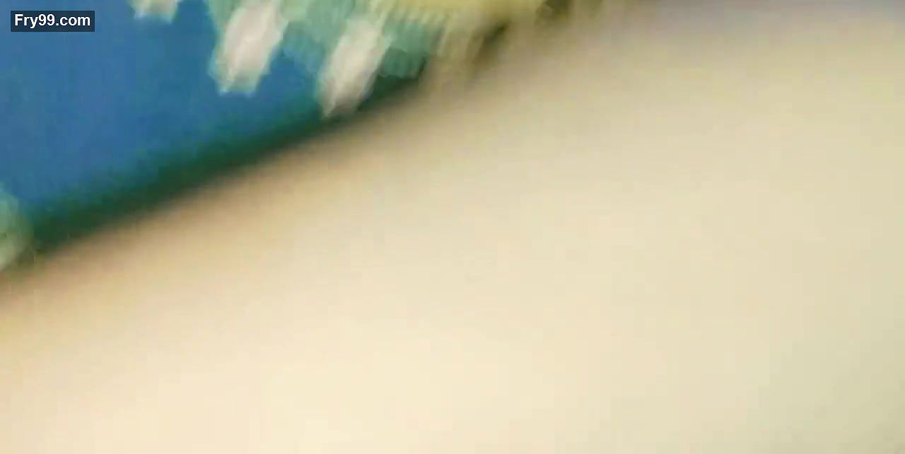 Friends I am making a fun video for you watch and