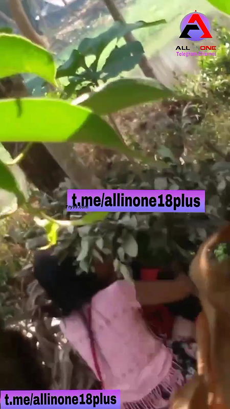 VID-24545228-WA00013