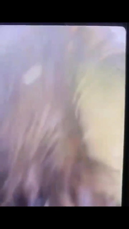 Giving Handjob and blowjob inside car