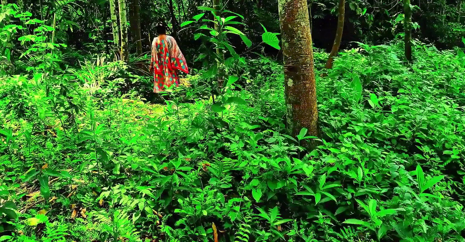 Neighbor Big Sister Jungle Fucked