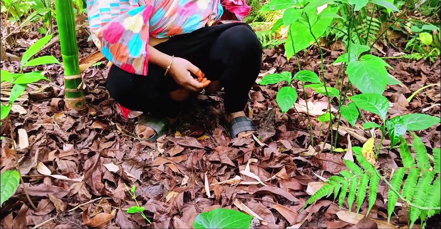 Neighbor Big Sister Jungle Fucked