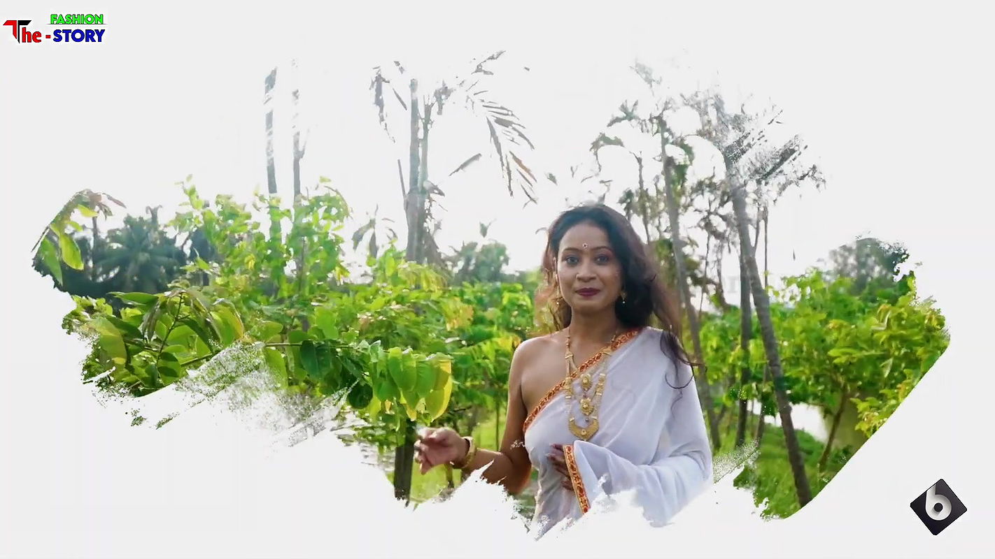 Transparent Saree With Jewellery-2Saree Lover