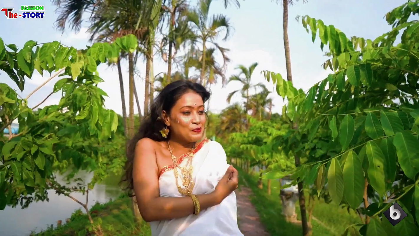 Transparent Saree With Jewellery-2Saree Lover