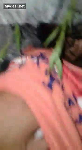 Desi village aunty outdoor fucking mid night