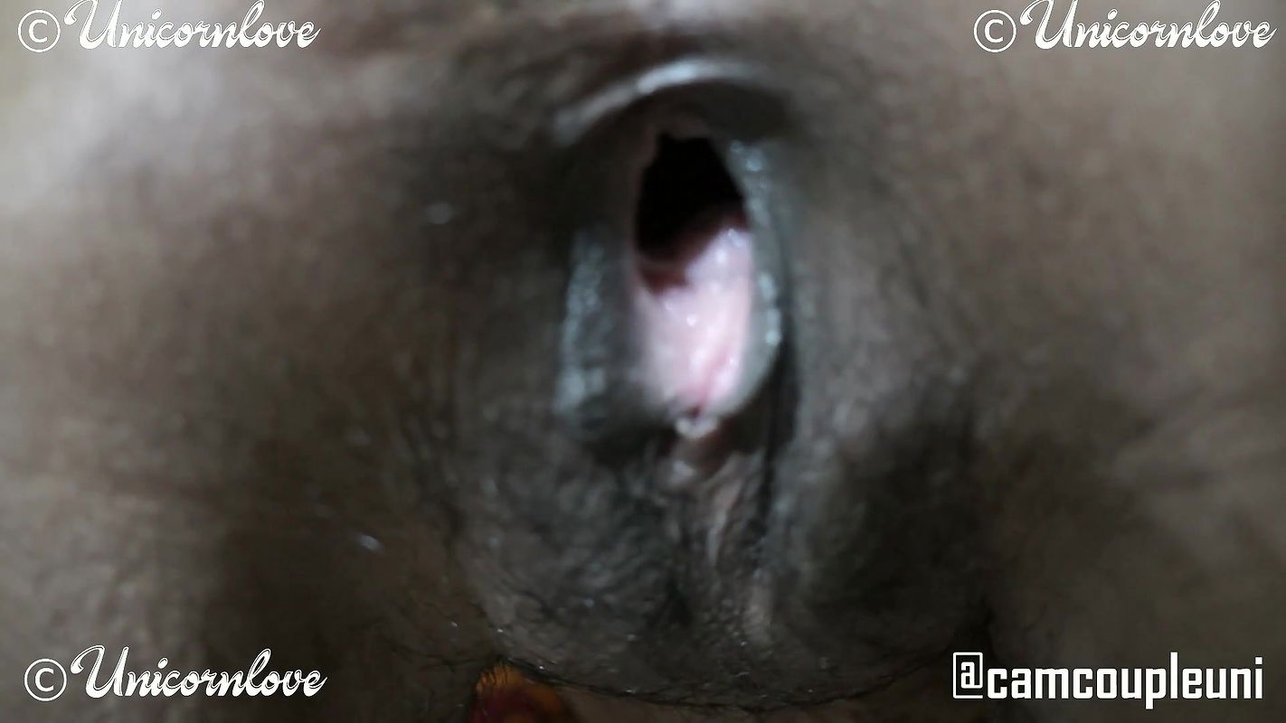 Jigna Premium collection -12