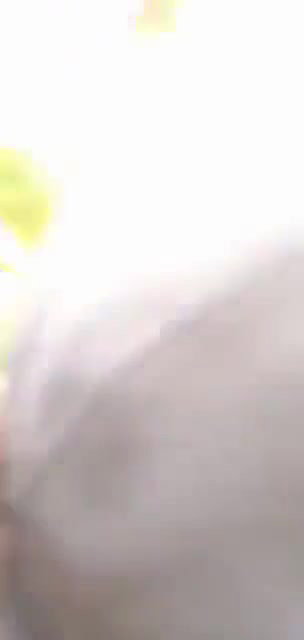 Lover Fucking In Jungle