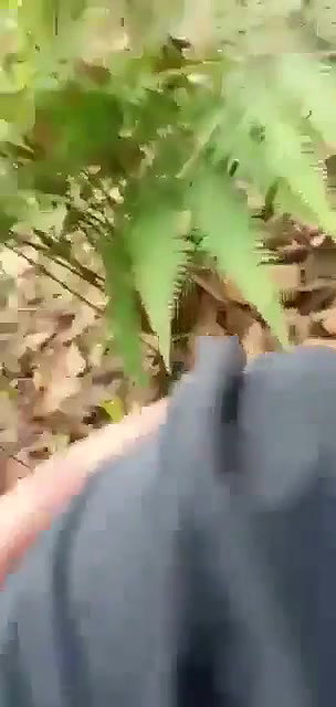 Lover Fucking In Jungle