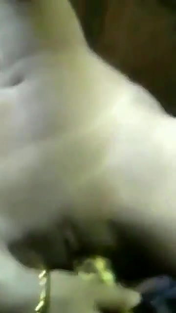 Super horny girl masturbating by cucumber