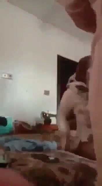 Bhabi Fucking With Sasurji Caught By Husband