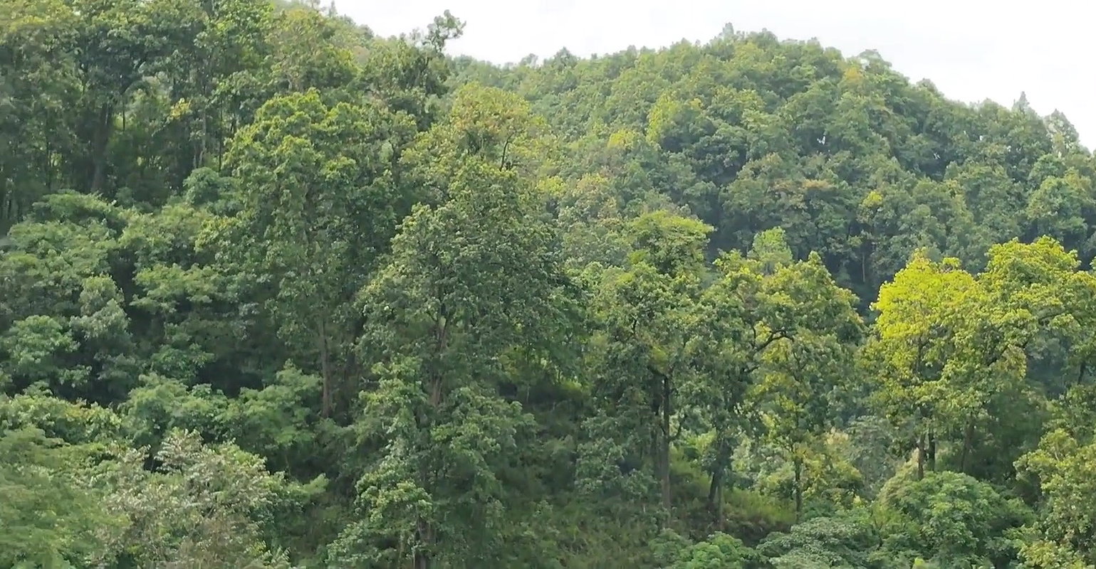 Hot sonali romentic series