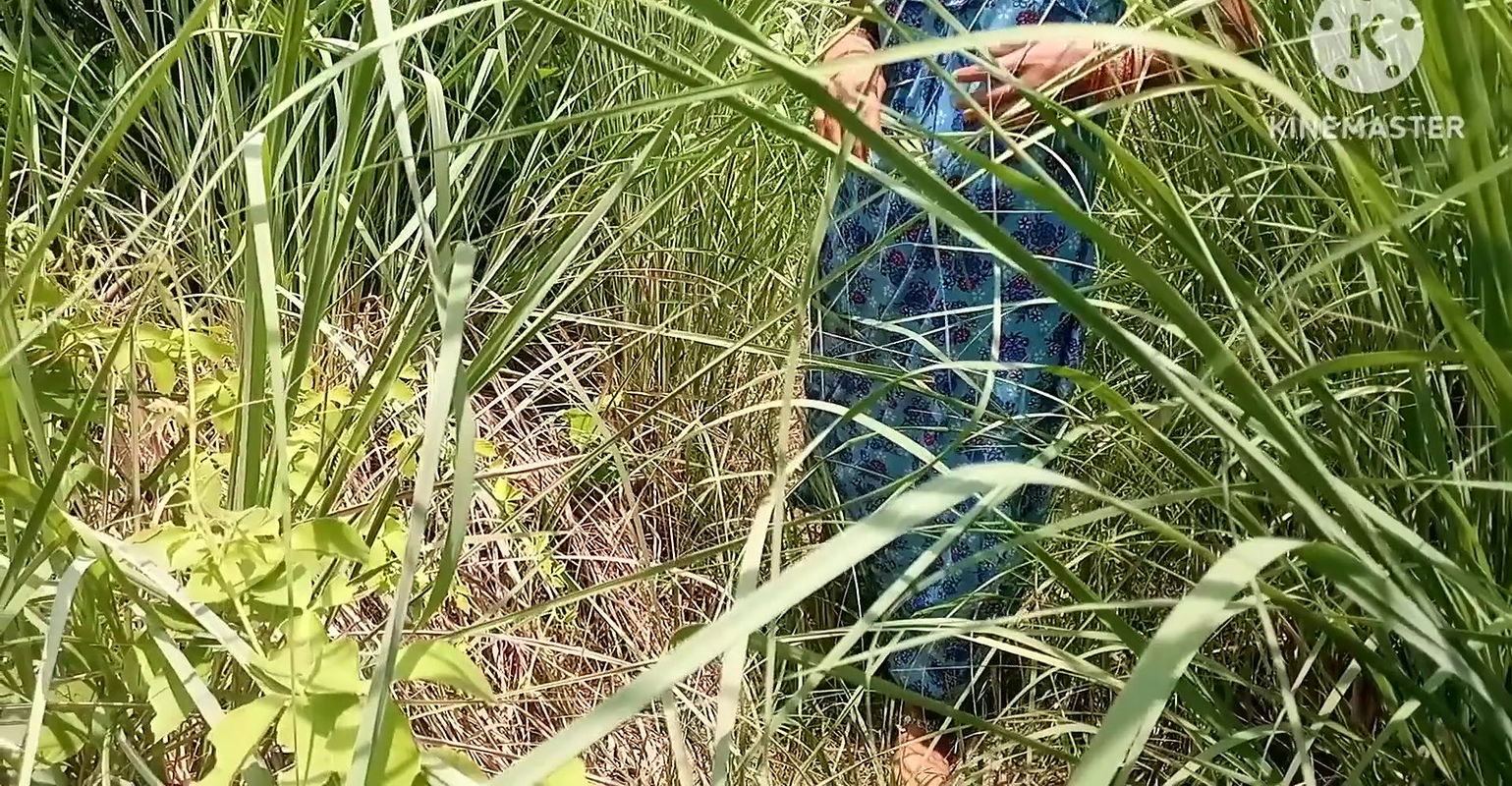 Indian Village Outdoor Hardcore Sex With Young Girlfriend