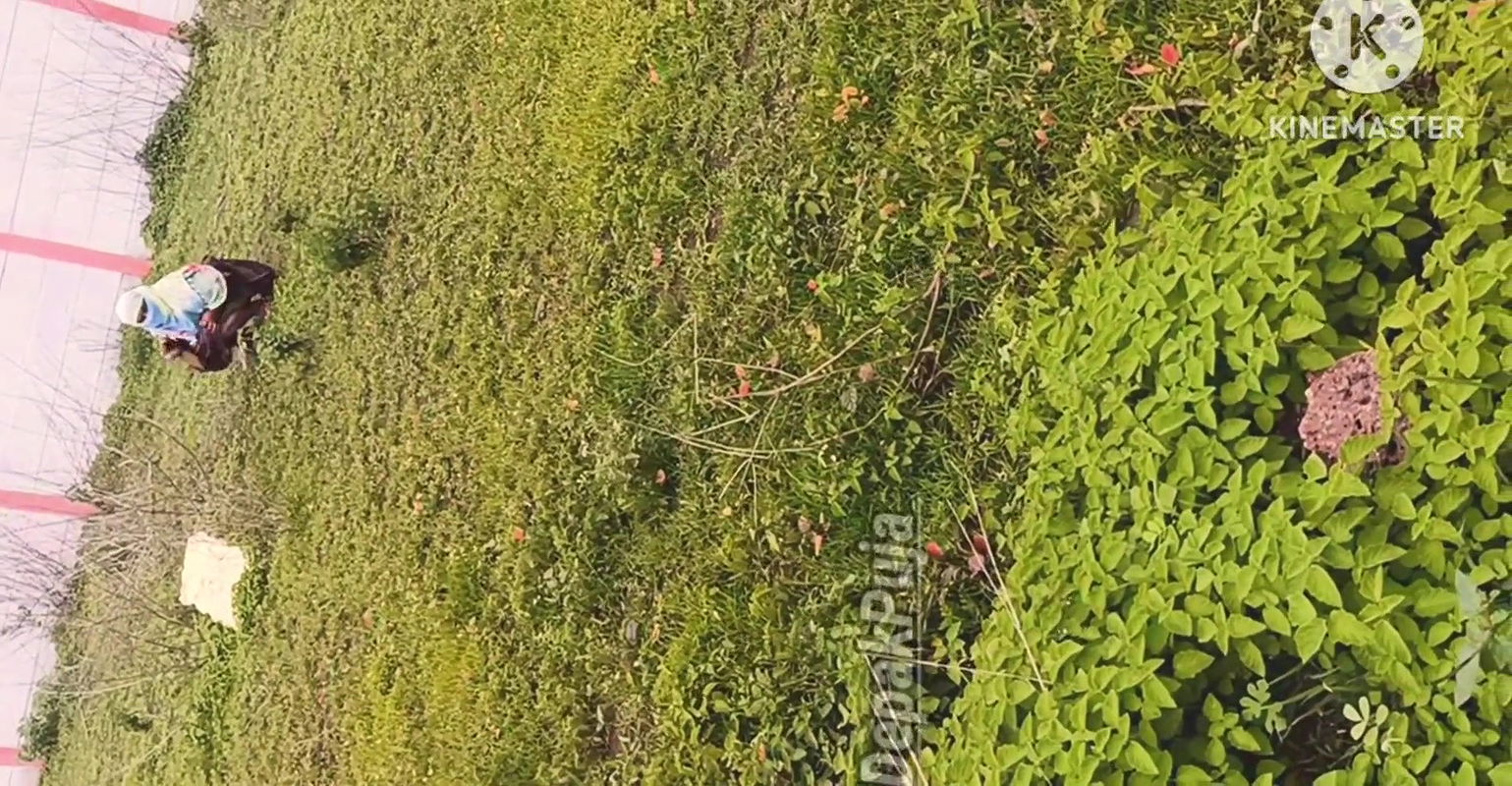 Marathi girls’ friend takes him on a tour of village