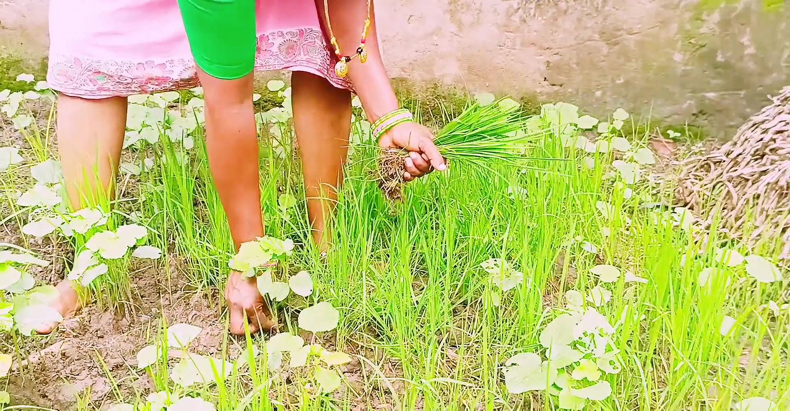 Villege forming hot sexy maid planing fir fucking with owner. Telugu Dirty Talks.part 1