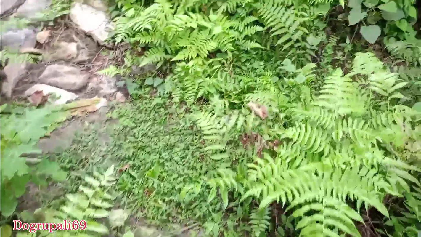 I Fucked Indian Woman While Walking in the Forest