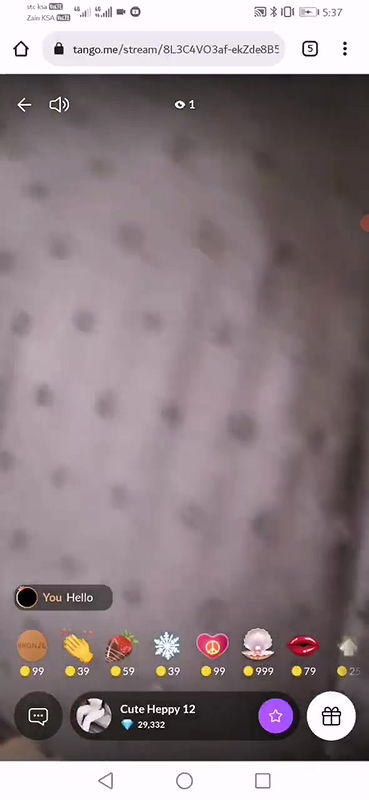 VID-2024730-WA054567