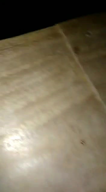 VID-2024730-WA0545123