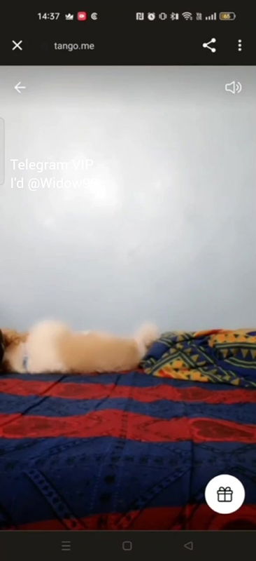 VID-2024730-WA0545184