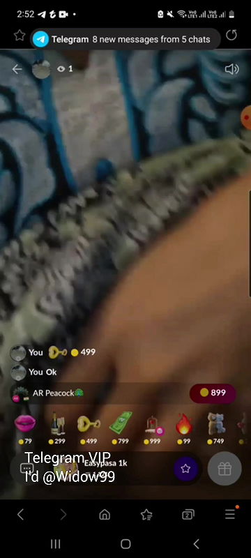 VID-2024730-WA0545240