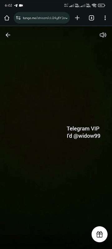 VID-2024730-WA0545389