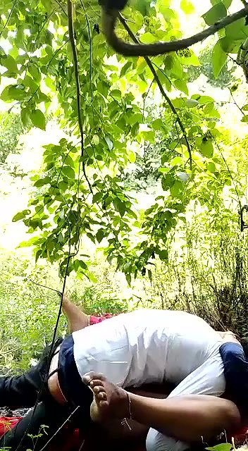 Desi Lovers Fucking In Jungle