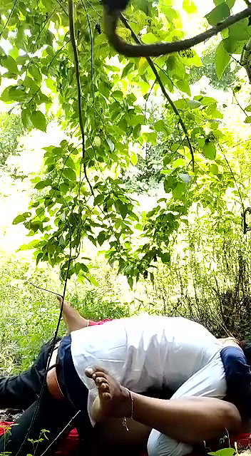 Desi Lovers Fucking In Jungle