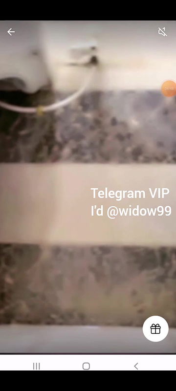 VID-2024730-WA0545424