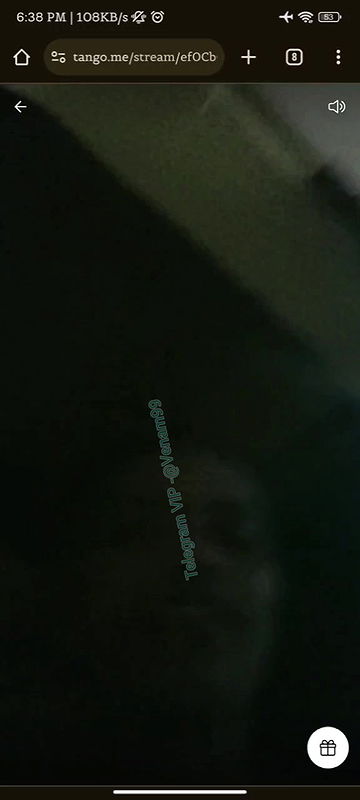 VID-2024730-WA0545690