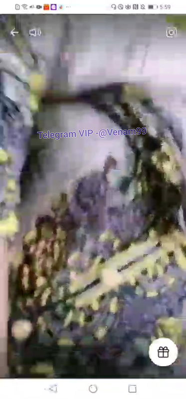 VID-2024730-WA0545737