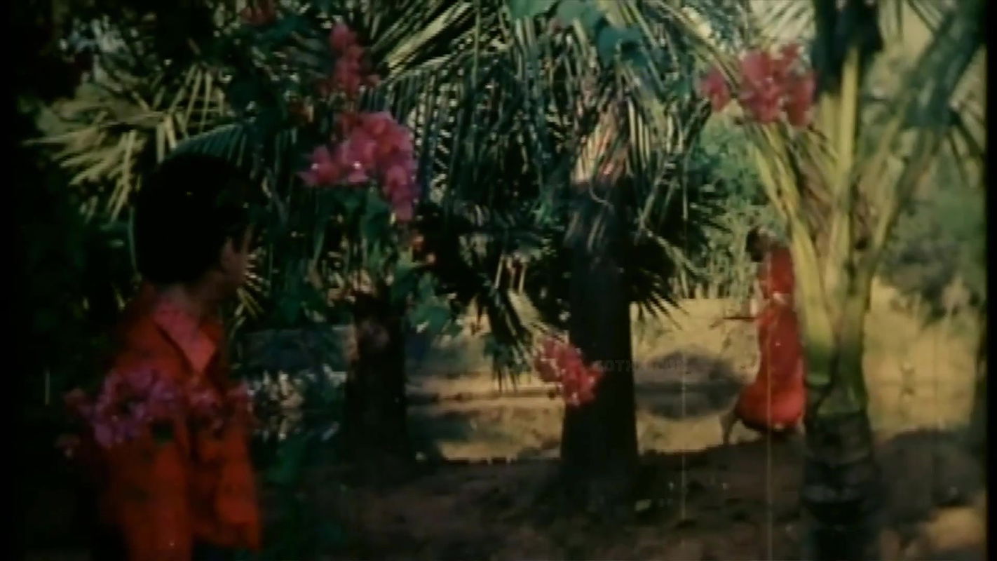 bengali movie old b-grade song -31