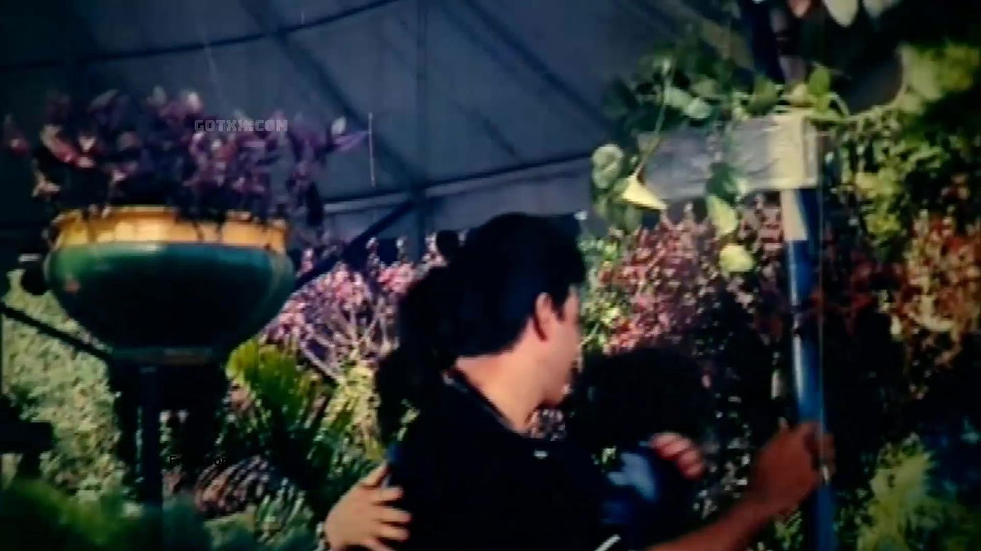 bengali movie old b-grade song -1