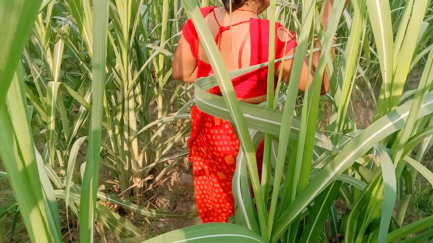 My Stepmom and Me First Anal Training Video