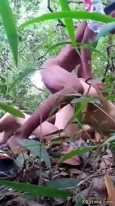 VID-2024702-BR247104