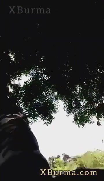 VID-2024702-BR247125