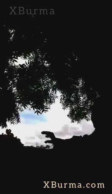 VID-2024702-BR247125