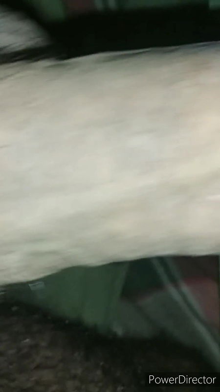 Desi Indian Girl Fucking Very Silenty Big Ass so Hot