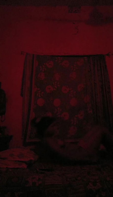 Real Kolkata Sonagachi Prostitute Getting Fucked & Secretly Recorded Clear Face And Bengali Audio
