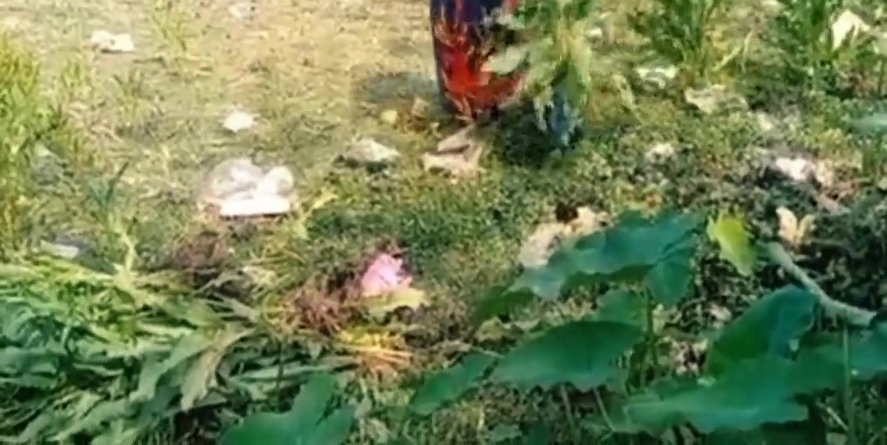 Indian desi outdoor mms