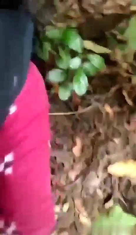 Beautiful girl having Outdoor