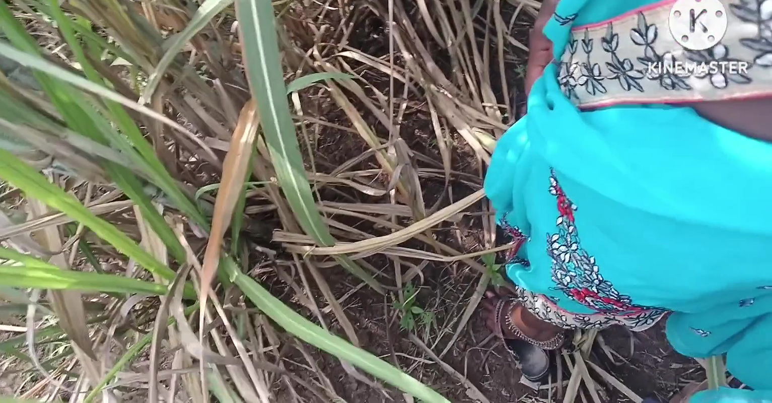 Marathi wife fast time outdoors fucking