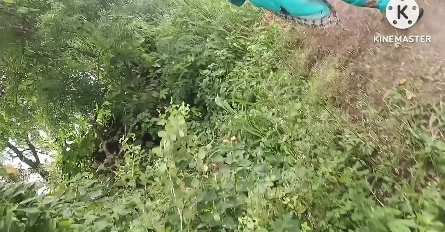 Marathi wife fast time outdoors fucking