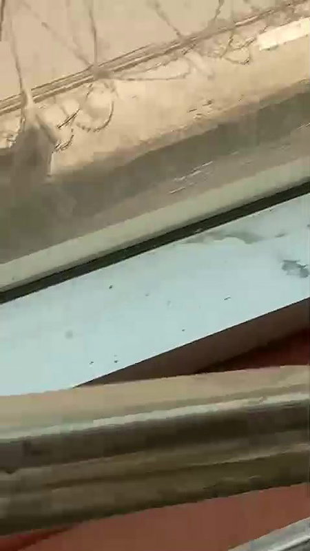 Aunty giving blowjob outdoor