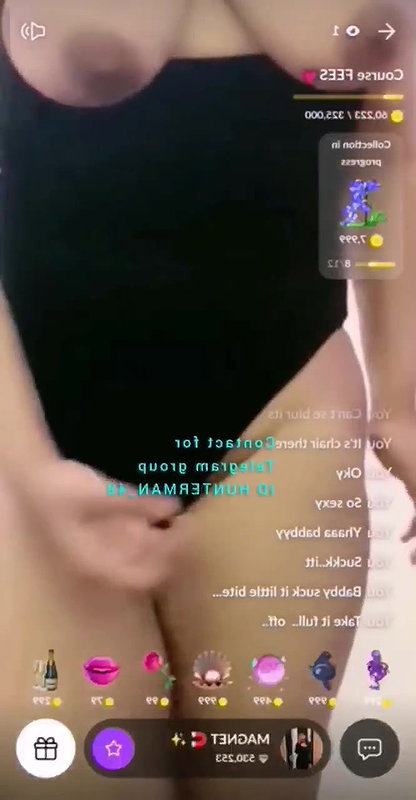 Magnet