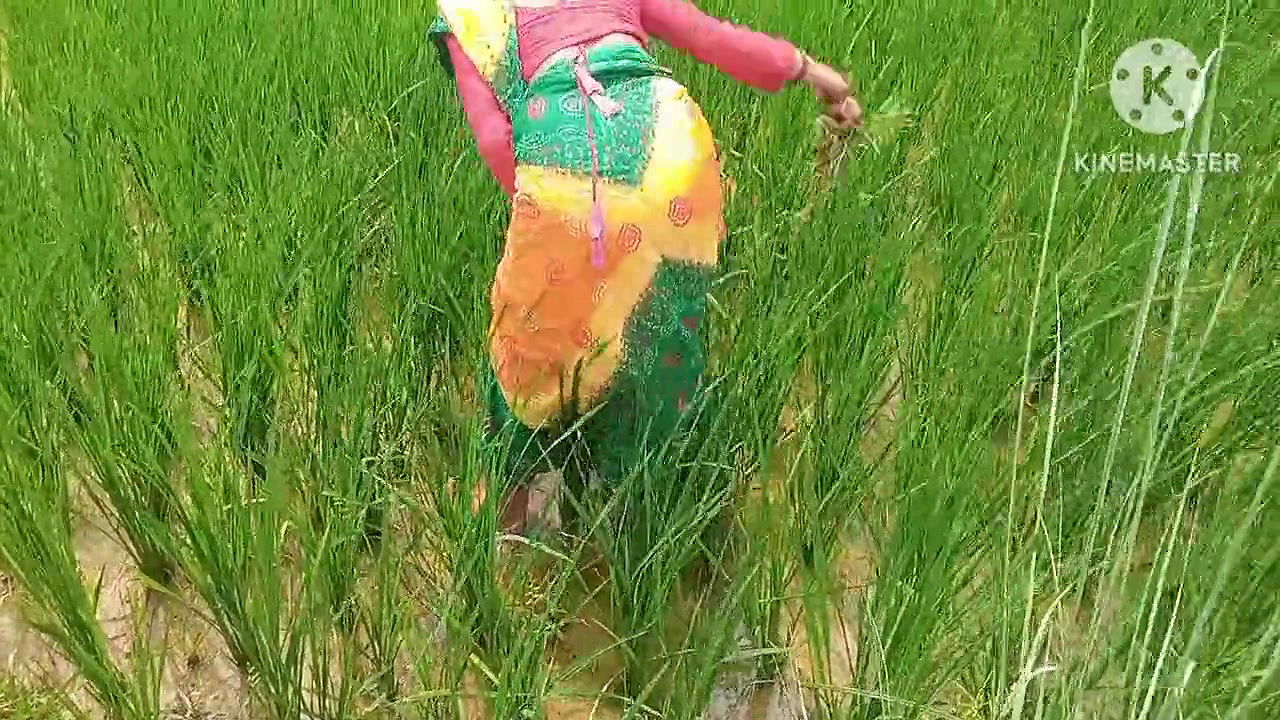 Indian Girls And Desi Lover made A Fuck sex Hinde Audio