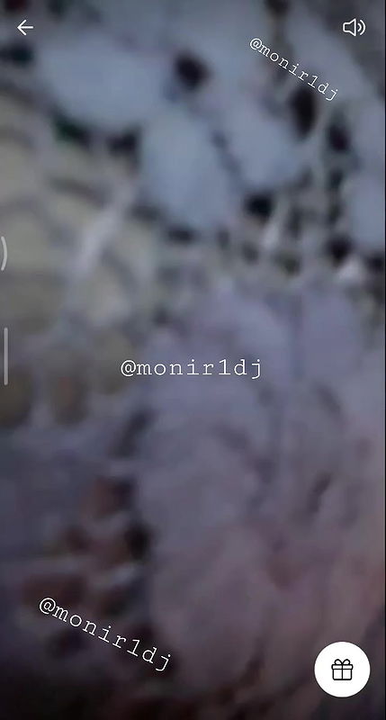 Rater rani 16.07.2024