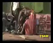 VID-20181228-WA00446