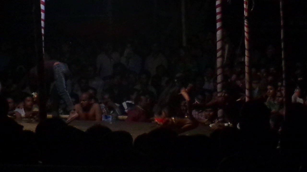 VID-20181228-WA00451