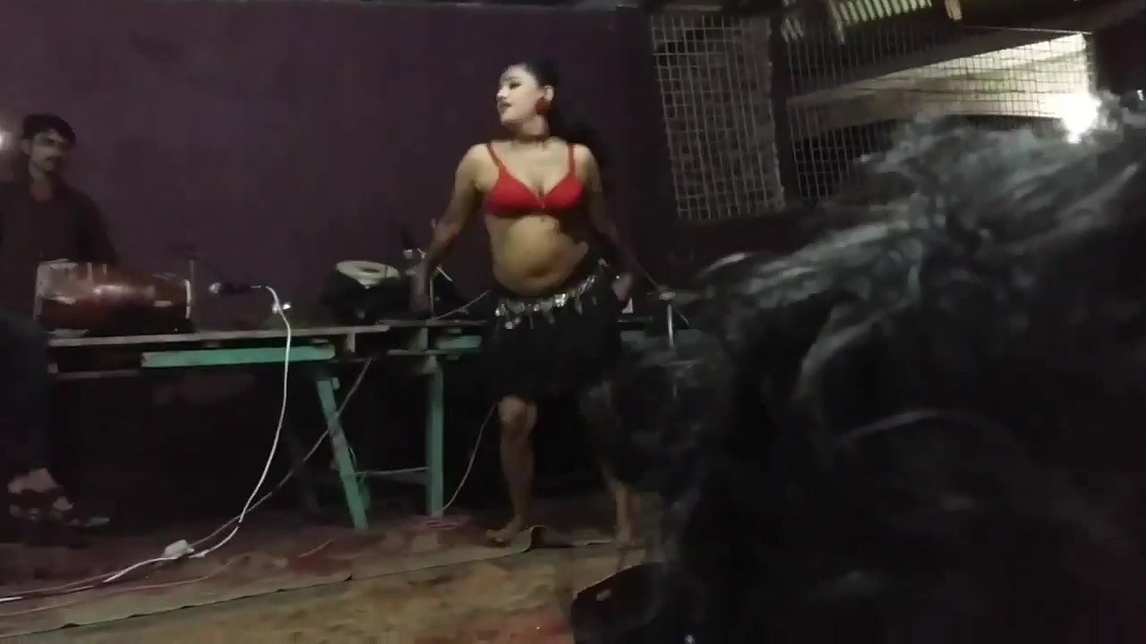 VID-20181228-WA004111