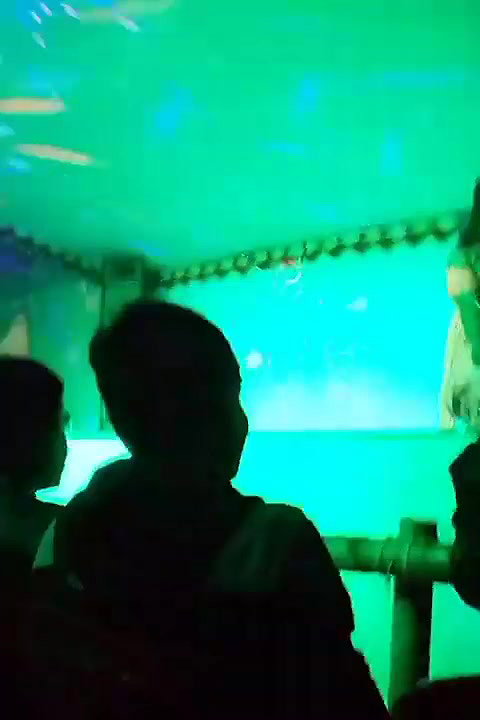 VID-20181228-WA004113