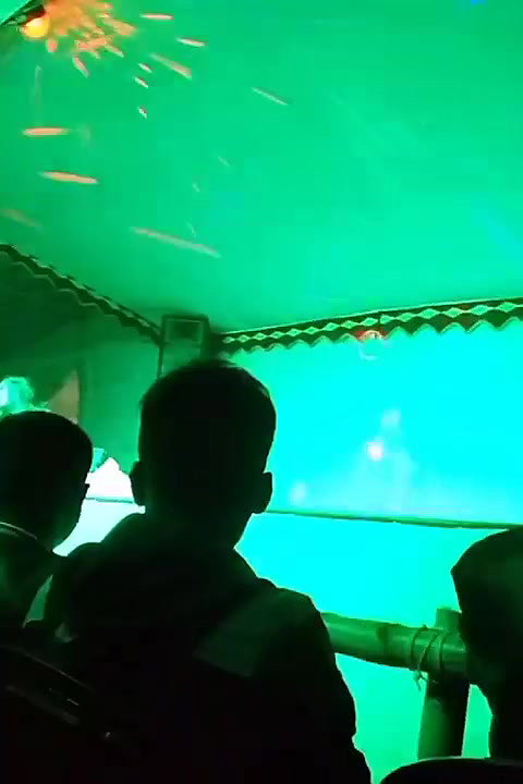 VID-20181228-WA004113