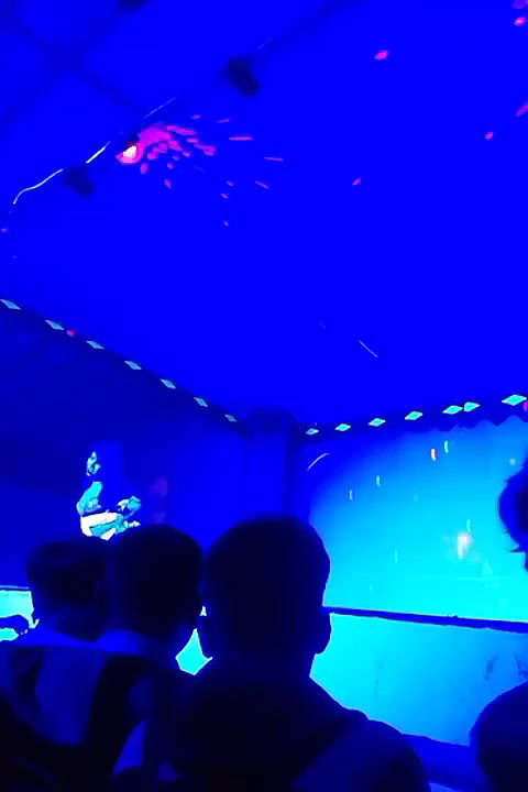 VID-20181228-WA004113